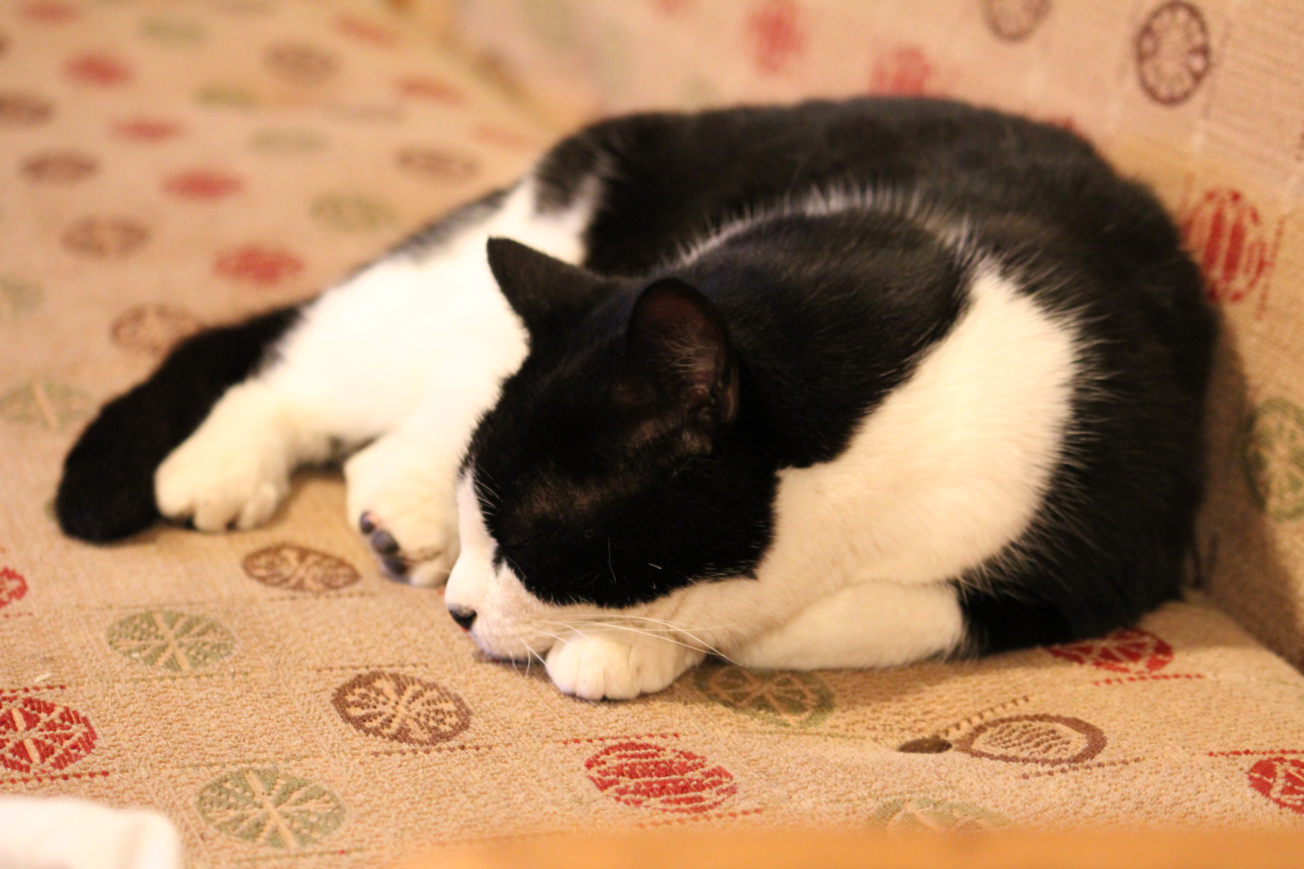 Beitragsbild aus April 2010