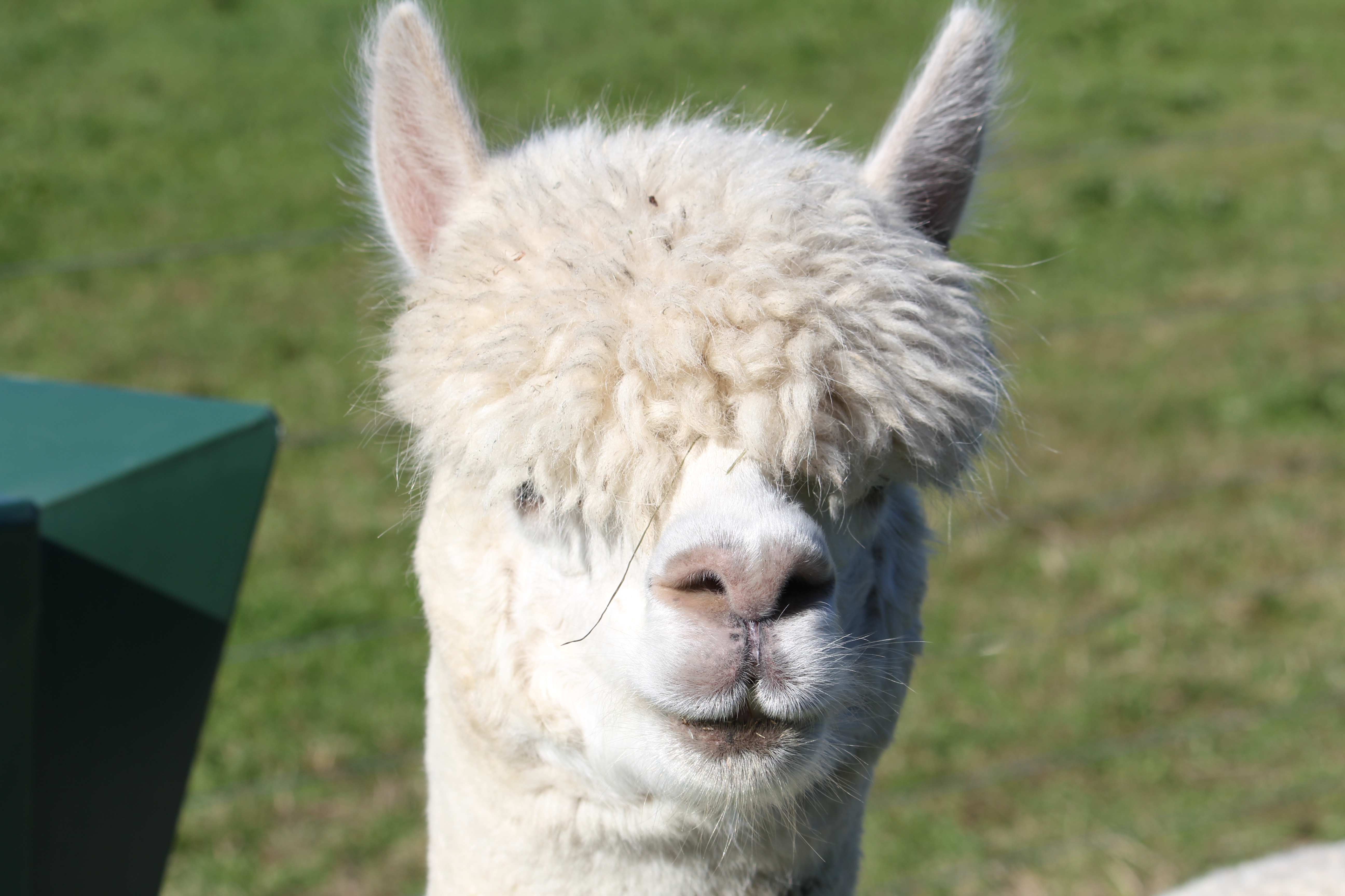 Beitragsbild aus Mai 2010