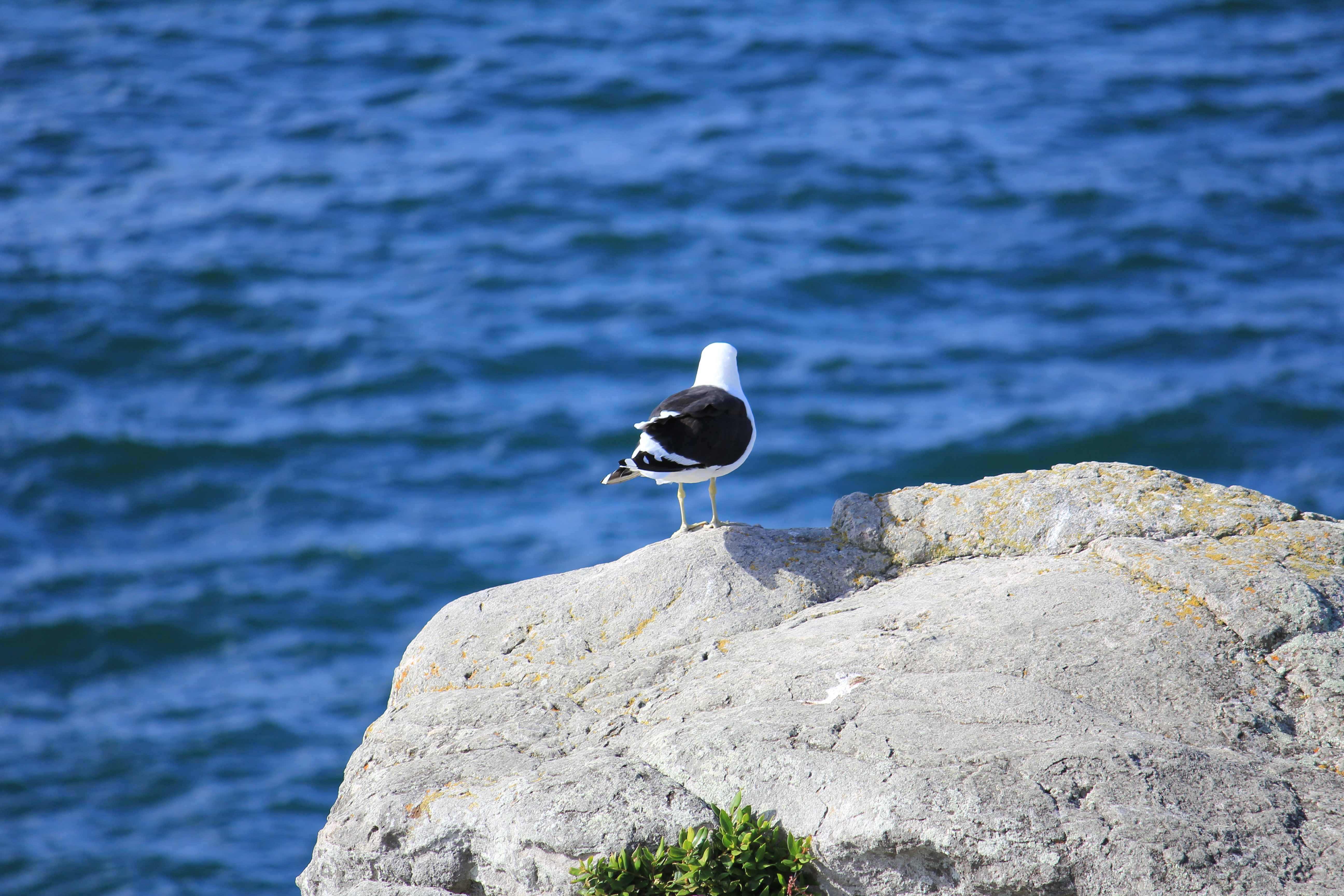 Sommer mitten im Herbst