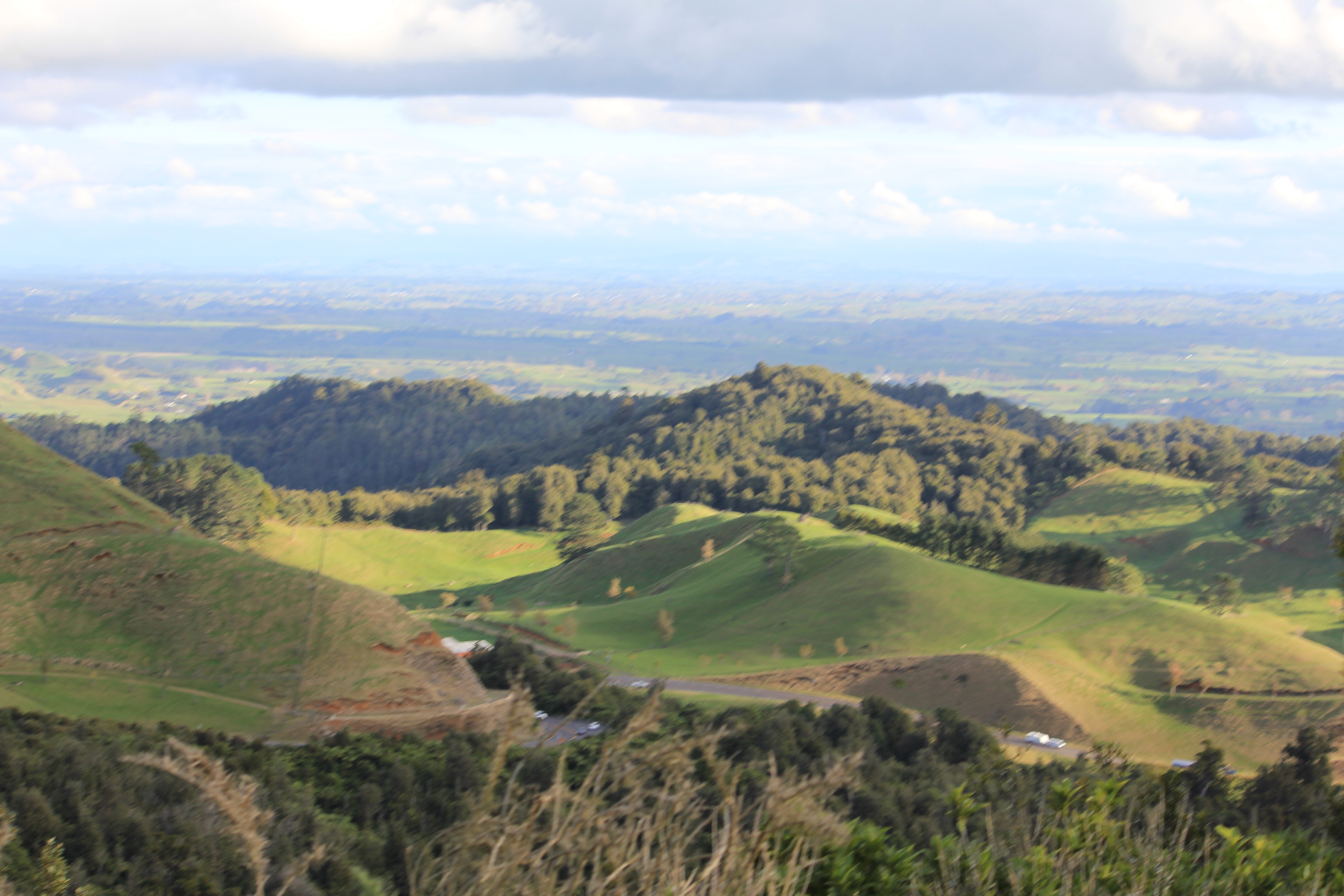 Waitomo Caves