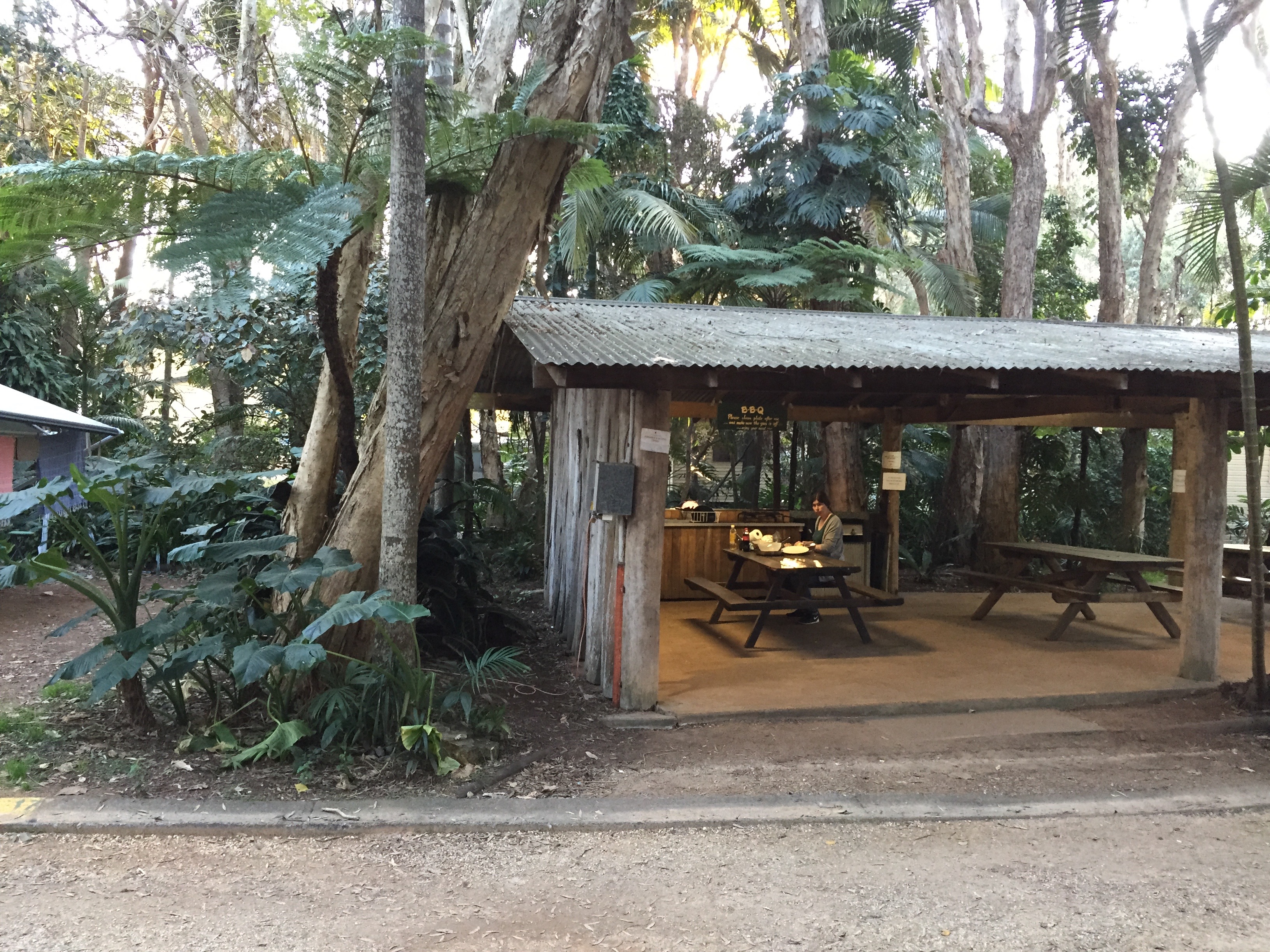 Viktor II. ist spitze