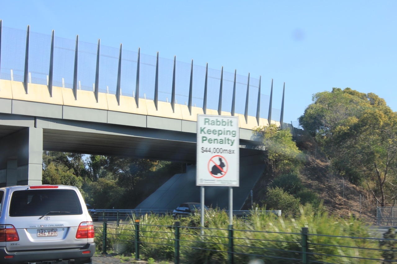 40.000$ Strafe für Hasenhaltung