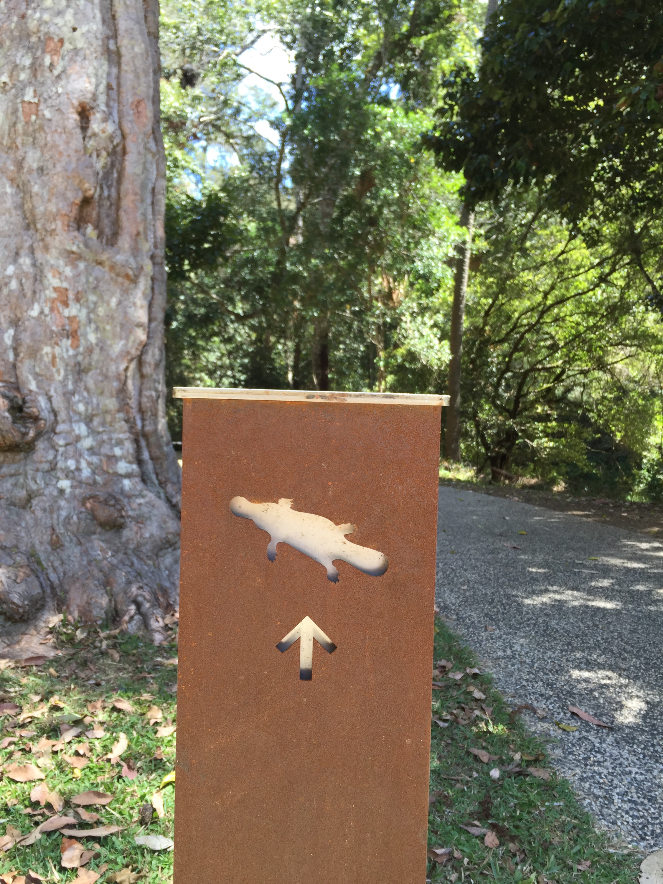 Wenn der Fluss auch die Straße ist