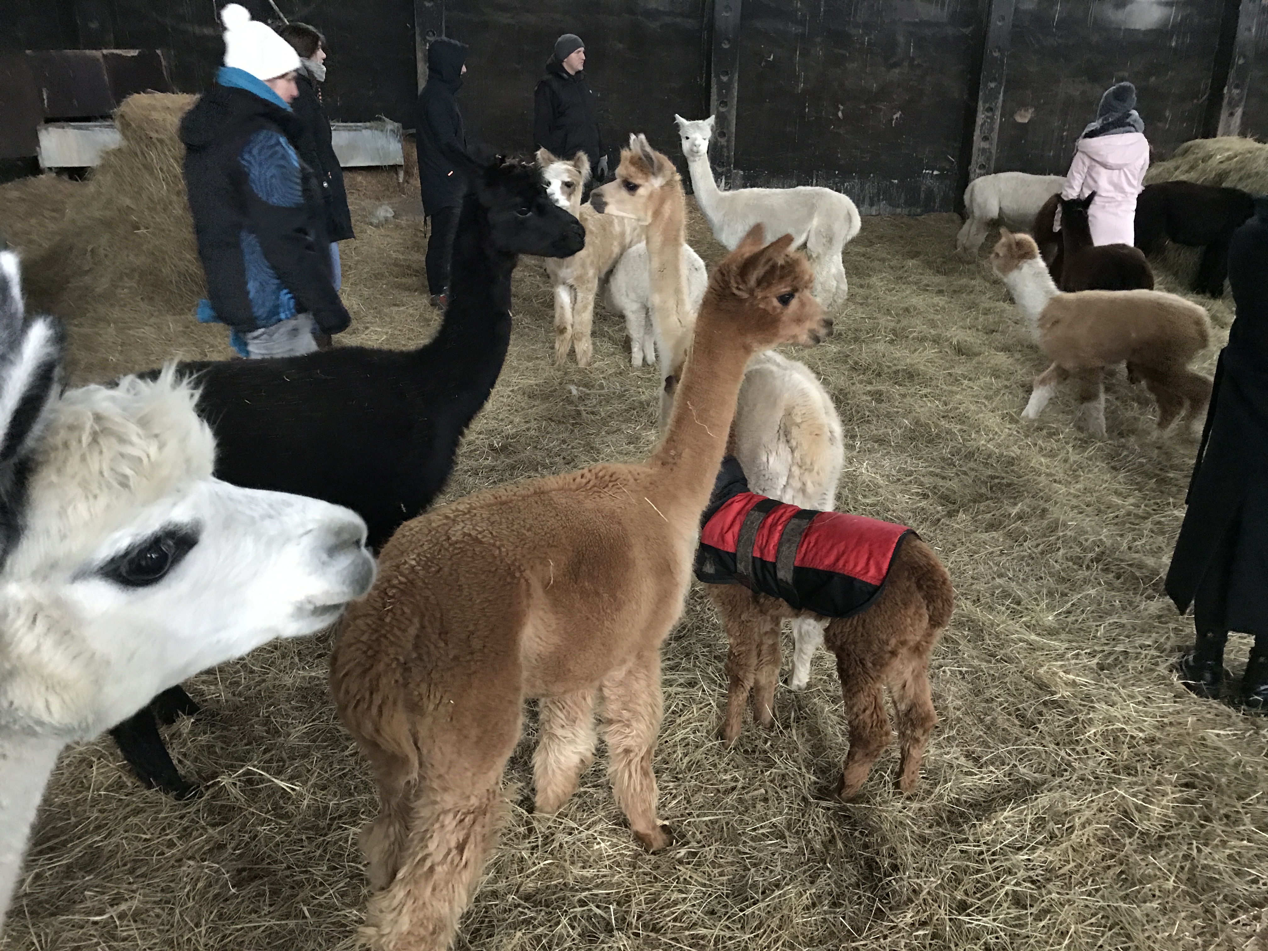 Beitragsbild aus Dezember 2017