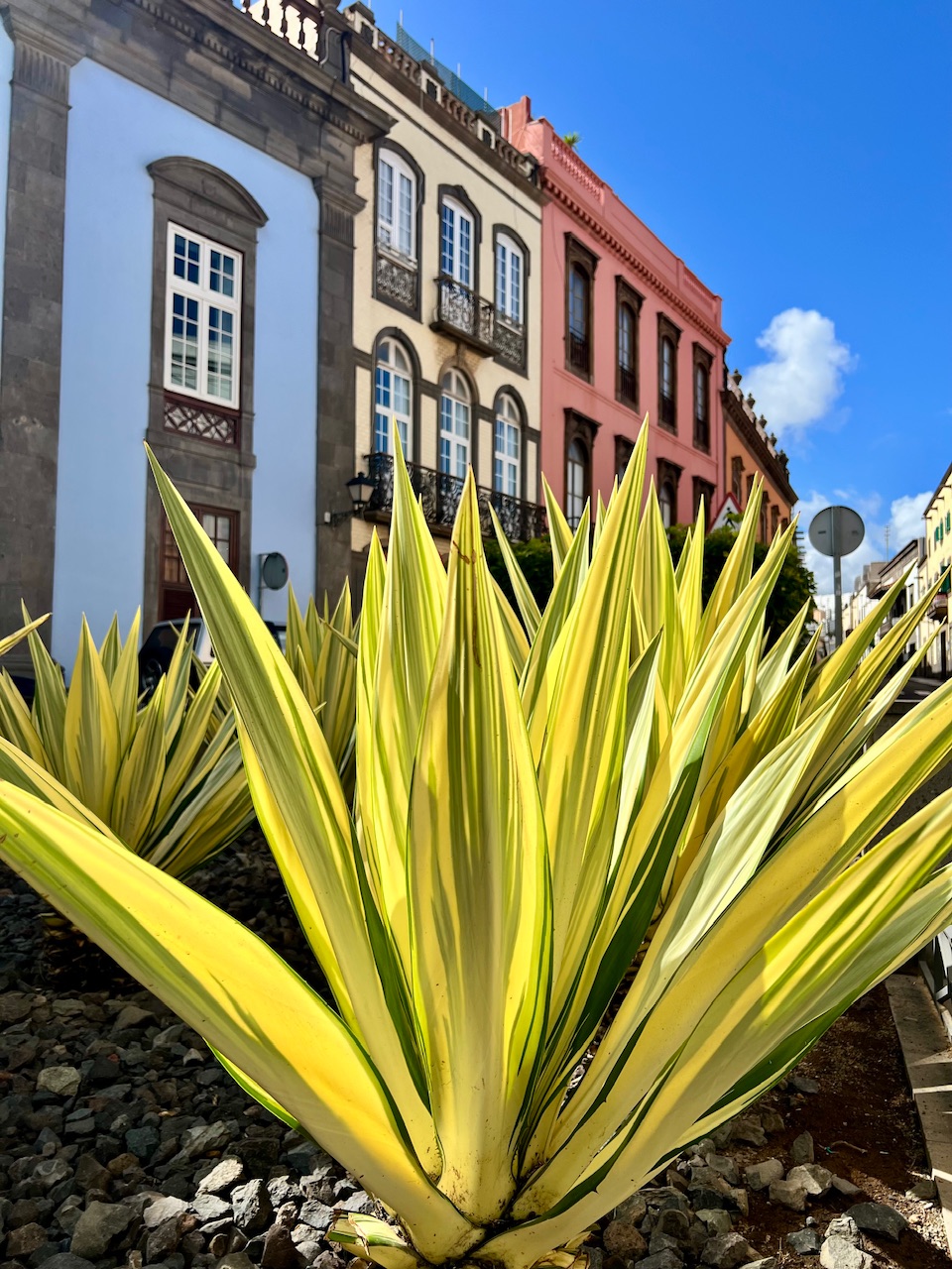 Tag 06 - Gran Canaria