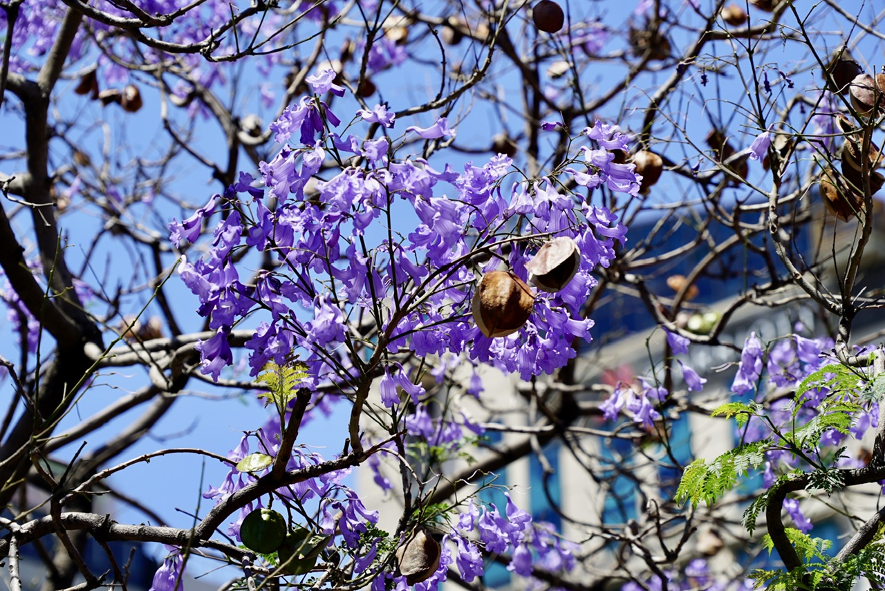 Tag 21 - Buenos Aires, Argentinien