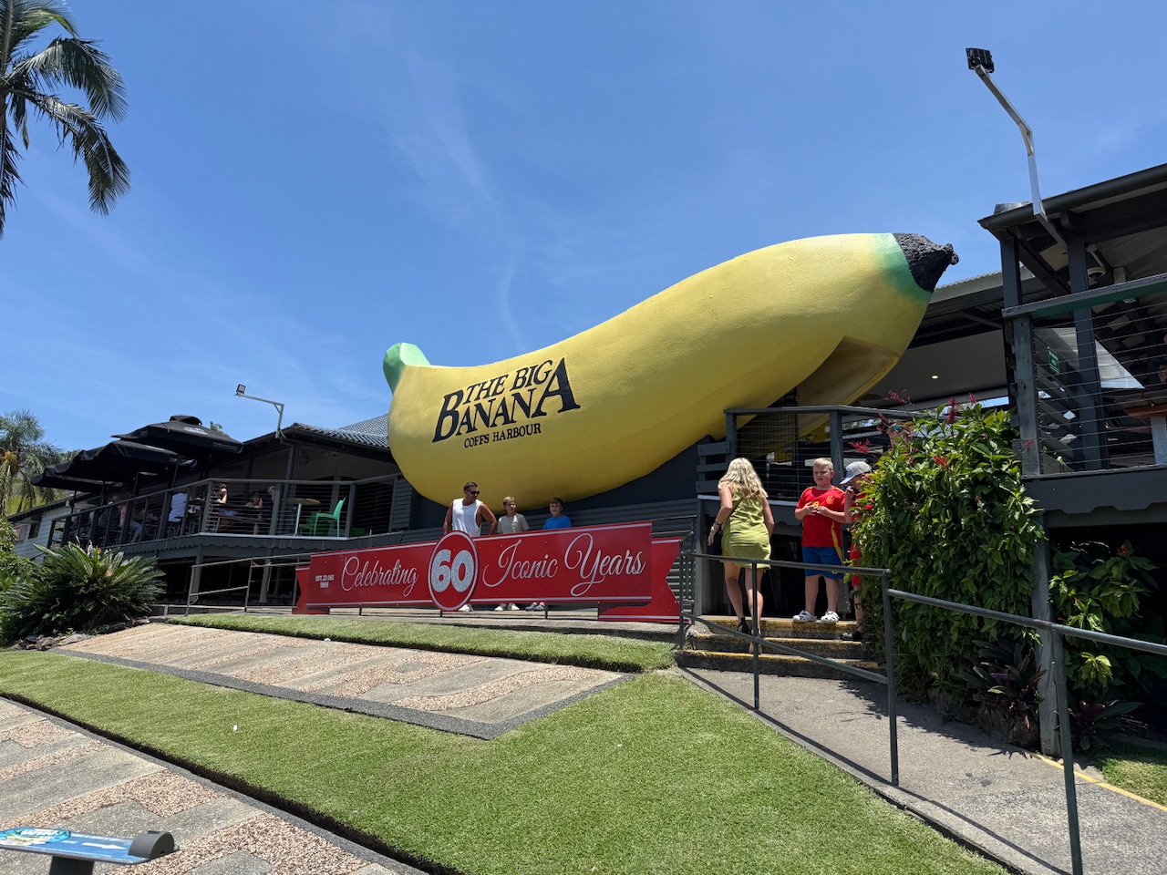 Kängurus &amp; Bananen