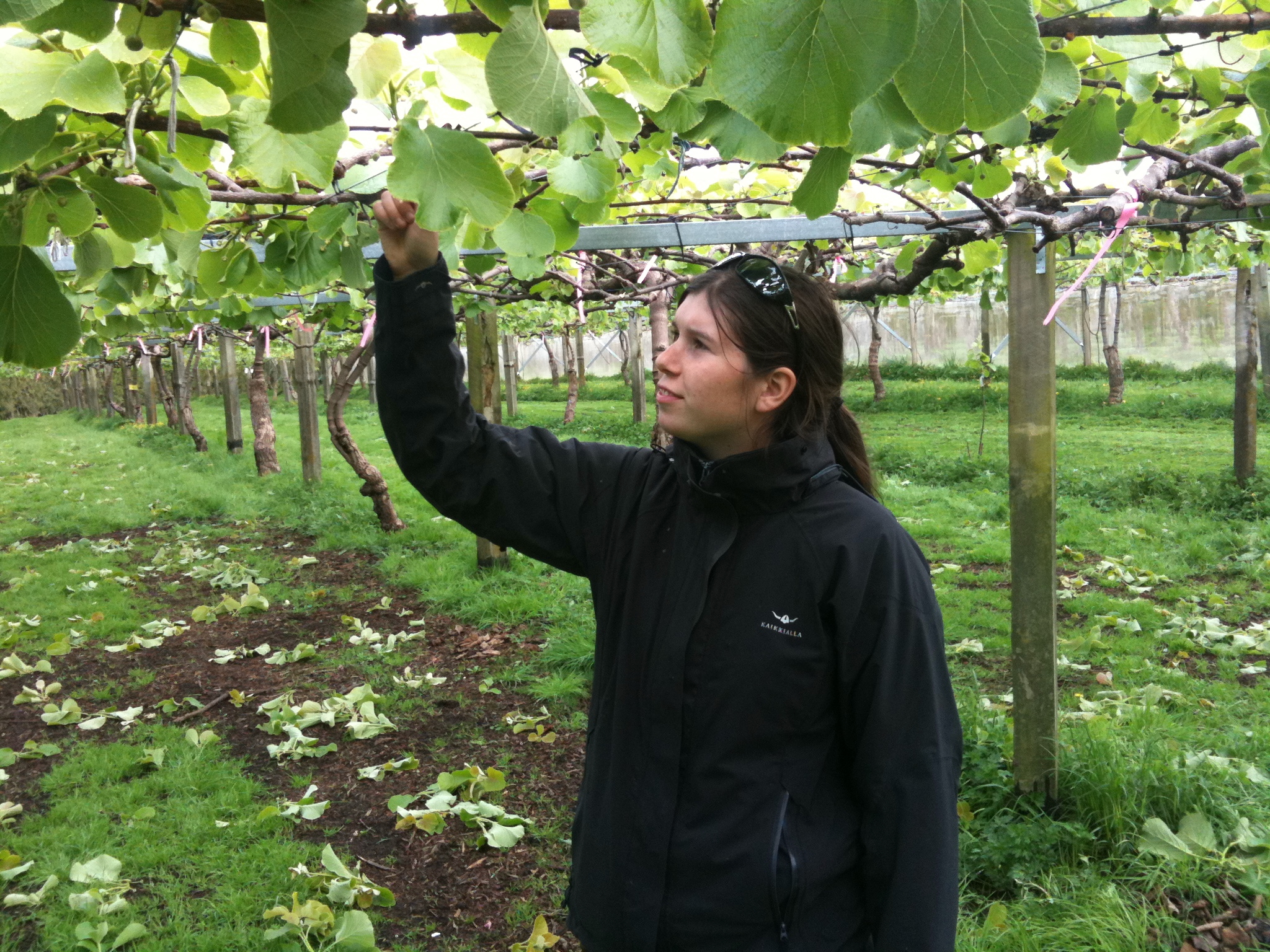 30. Sep - Erster Arbeitstag