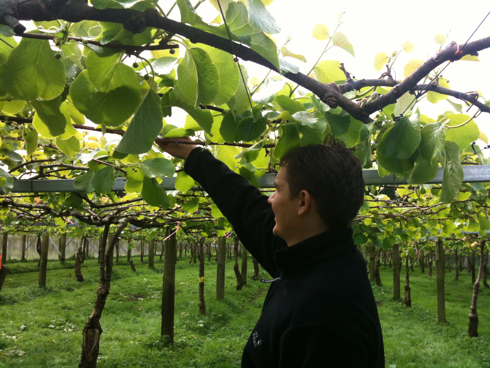 Bilder: bei der Arbeit