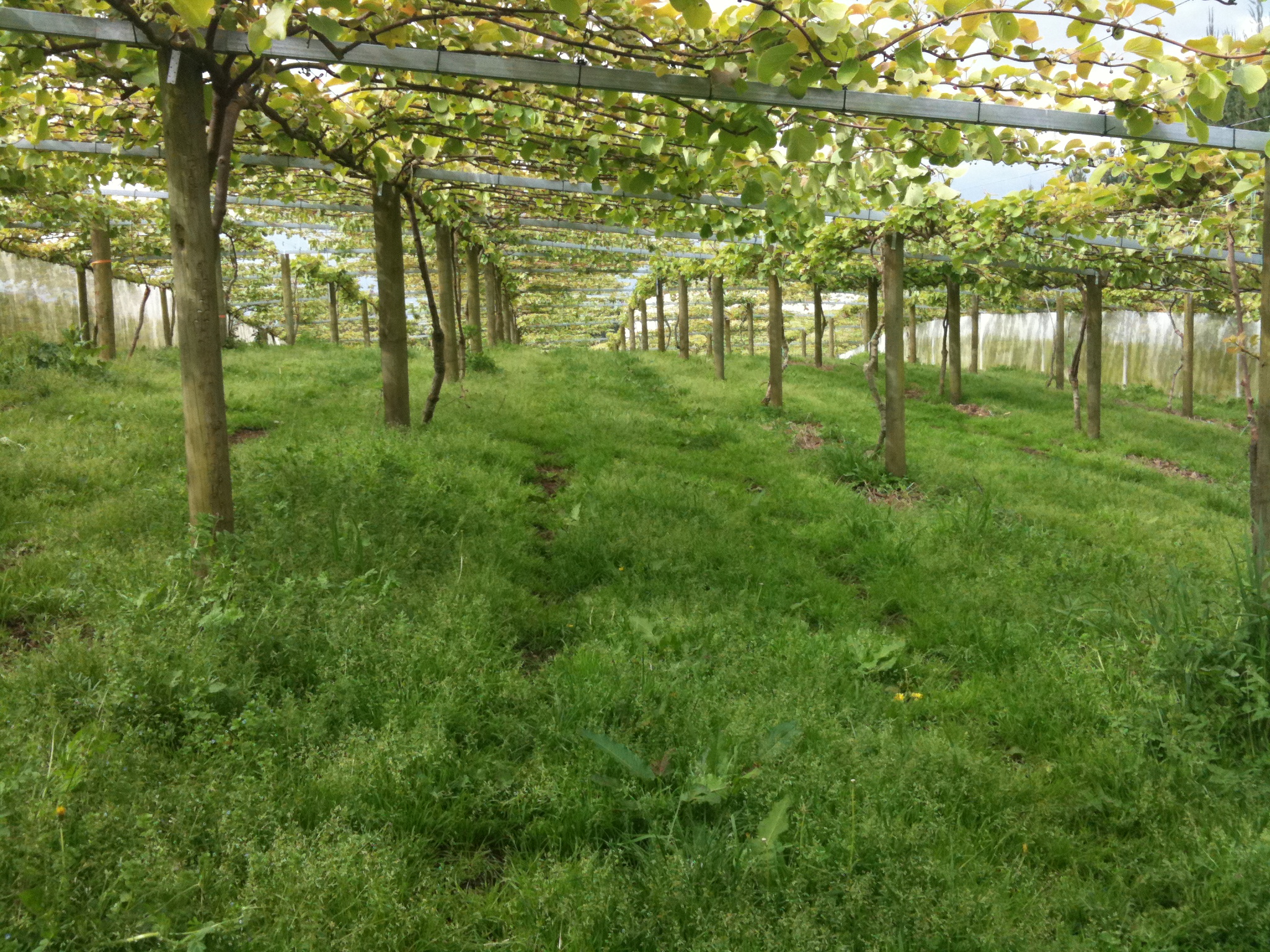 Arbeit: Die große Erklärung