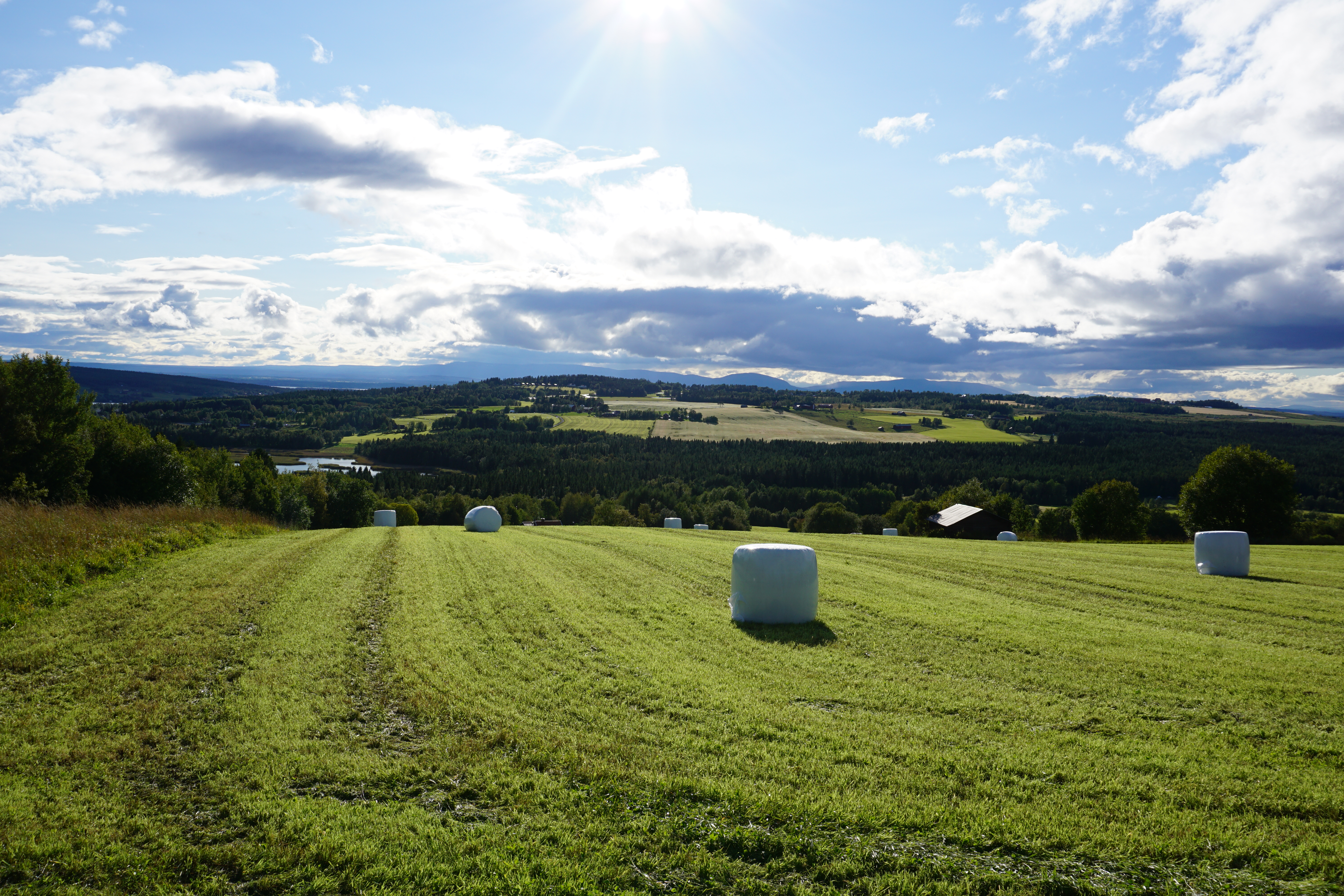 Die Räder vom Karlson die roll'n dahin..