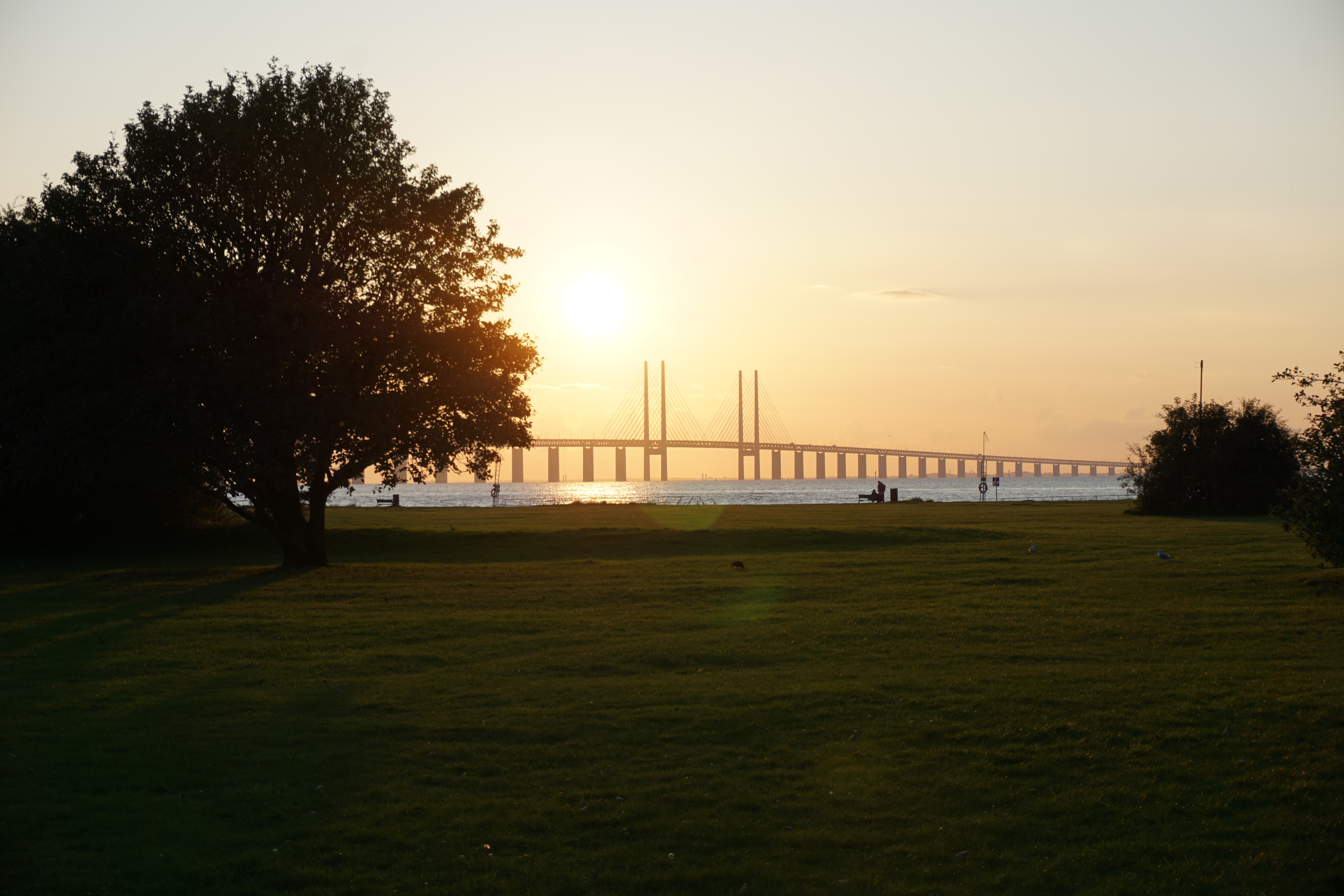 Zurück nach Schweden