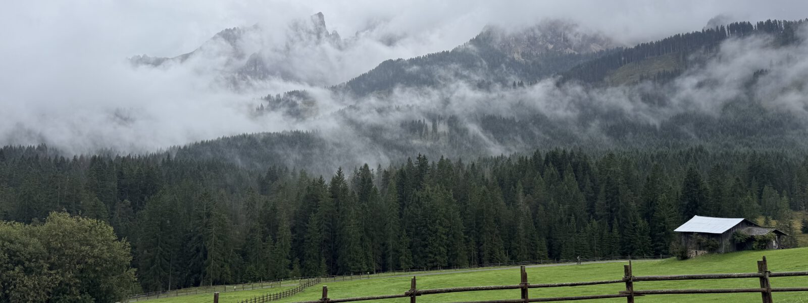 Regen, Ruhe und Rinderfütterung