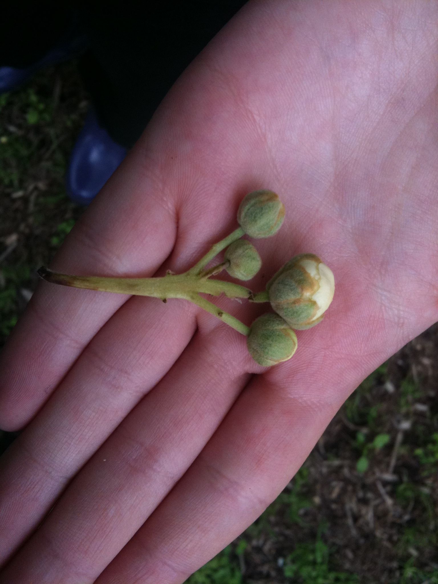 Unglaubliches Neuseeland - Teil 1 -