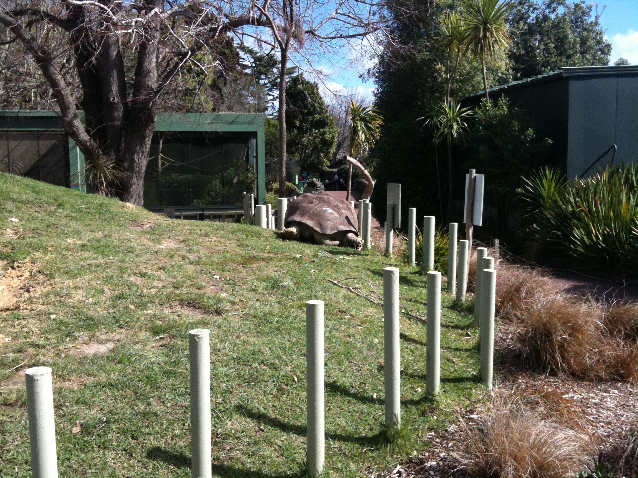 3. Sep - Von Stinktieren und  Riesenschildkroeten